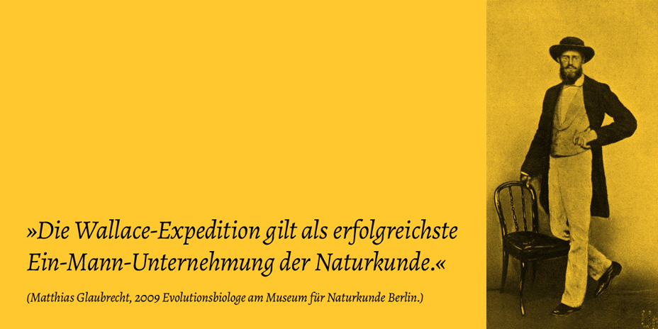 Zitat zu Dampier